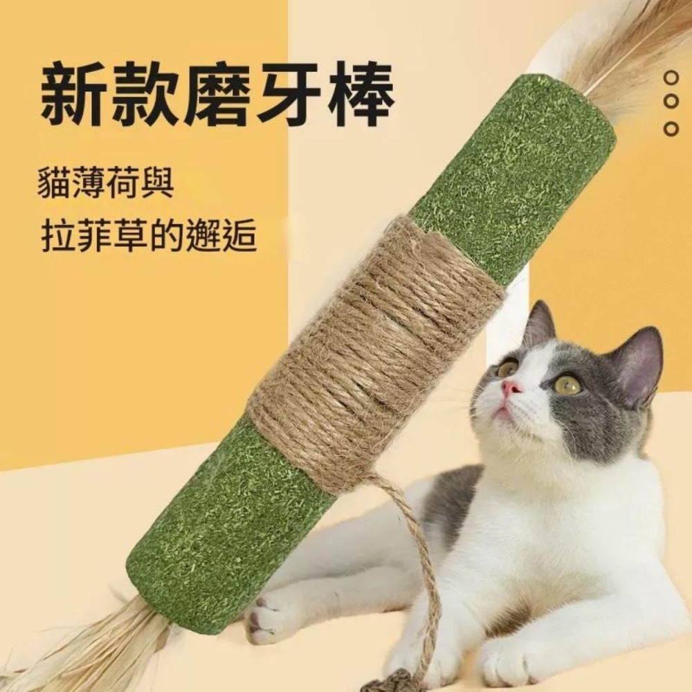 升級版 木天蓼 磨牙棒 木天蓼棒棒 蟲癭果 木天蓼棒 貓咪潔牙 貓咪磨牙 貓咪玩具-細節圖5