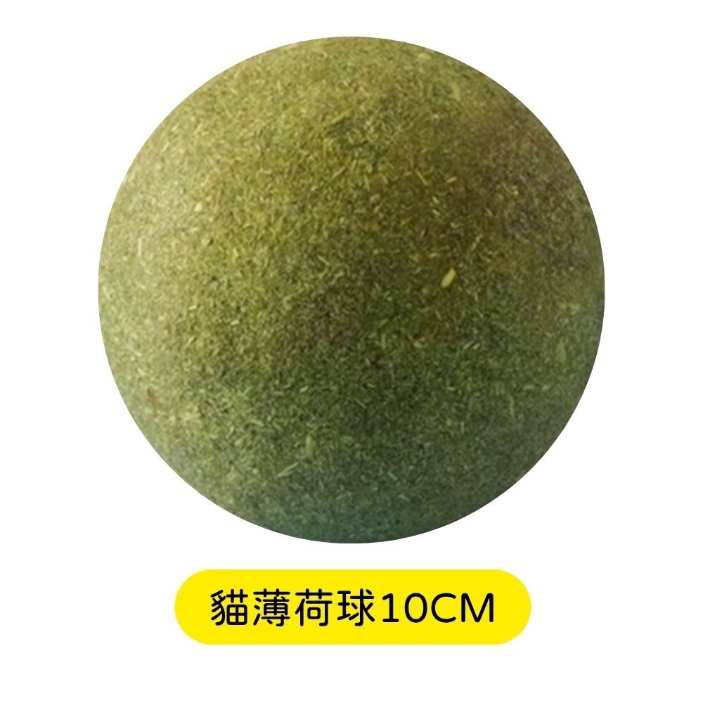 升級版 木天蓼 磨牙棒 木天蓼棒棒 蟲癭果 木天蓼棒 貓咪潔牙 貓咪磨牙 貓咪玩具-細節圖6