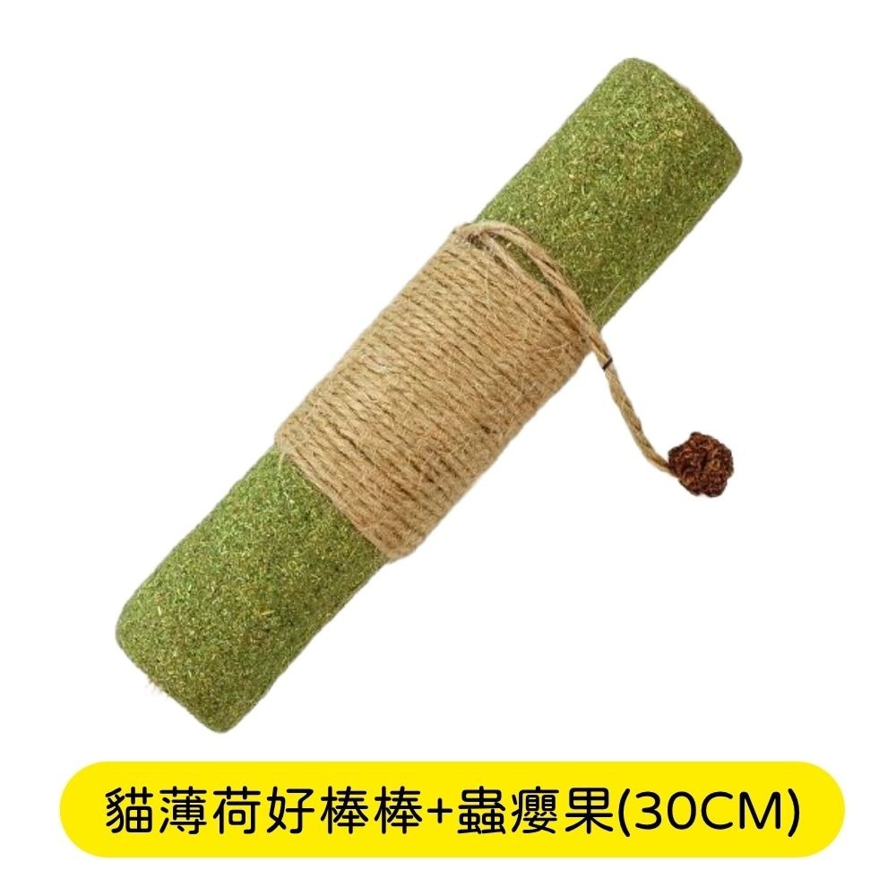 升級版 木天蓼 磨牙棒 木天蓼棒棒 蟲癭果 木天蓼棒 貓咪潔牙 貓咪磨牙 貓咪玩具-細節圖8