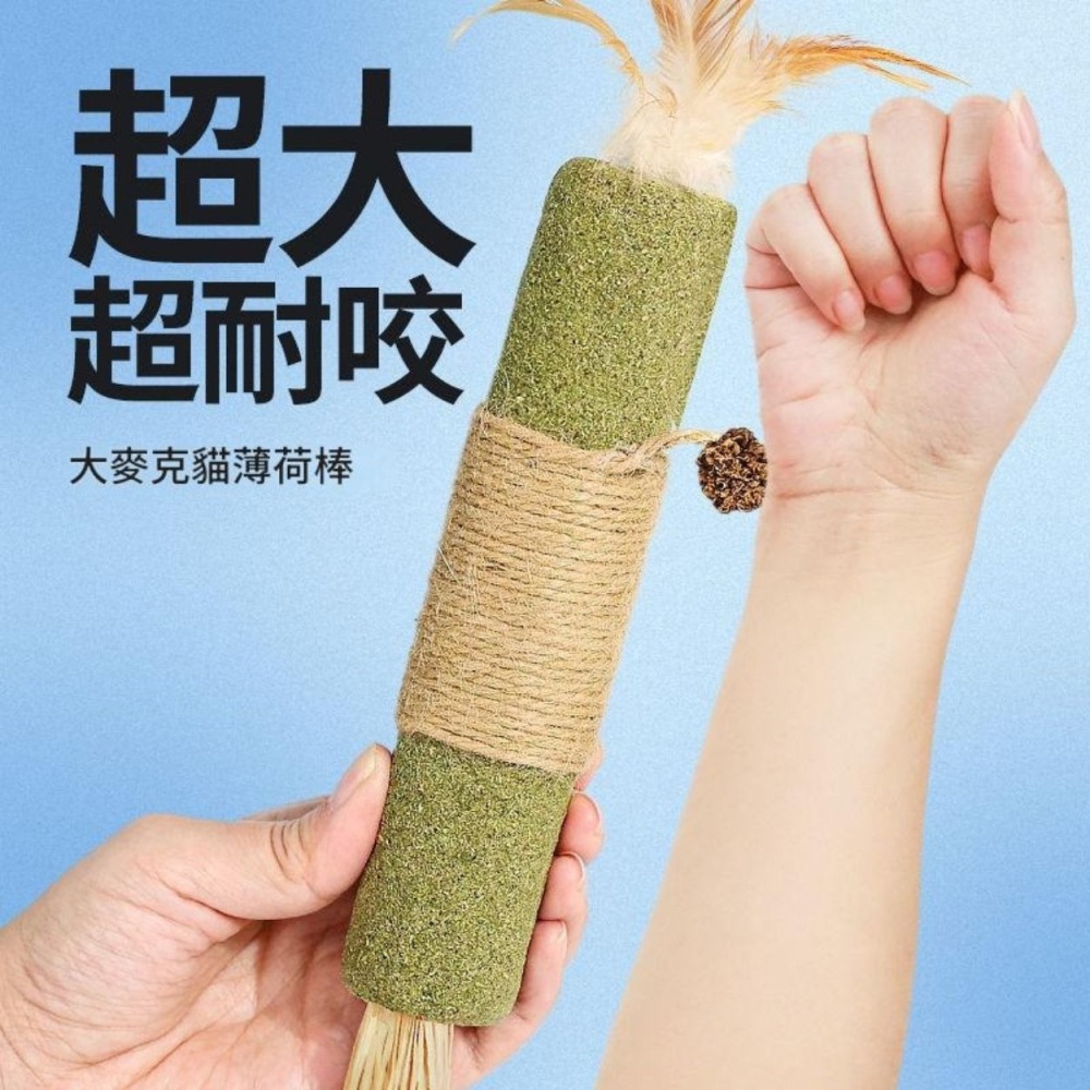 升級版 木天蓼 磨牙棒 木天蓼棒棒 蟲癭果 木天蓼棒 貓咪潔牙 貓咪磨牙 貓咪玩具-細節圖9