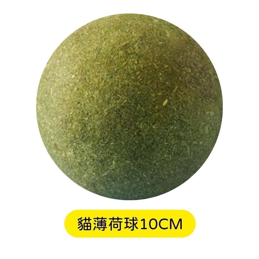 升級版 木天蓼 磨牙棒 木天蓼棒棒 蟲癭果 木天蓼棒 貓咪潔牙 貓咪磨牙 貓咪玩具-細節圖6
