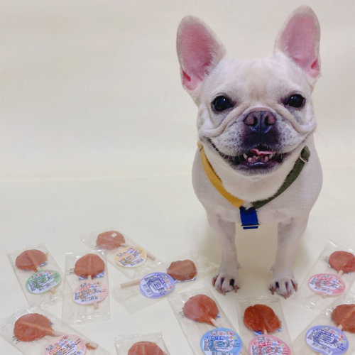 LOVE 愛的獎勵 棒棒糖 🎁 6種口味 狗棒棒糖 🎁寵物零食 訓練點心 狗零食 狗點心 潔牙-細節圖4