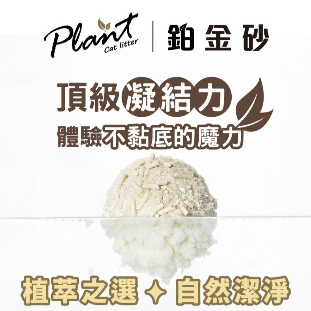 輕植系 Plant 掏金砂 鉑金砂 2.2KG 原味 貓砂 豆腐砂 除臭 小米 碗豆砂 玉米砂 木薯砂-細節圖9