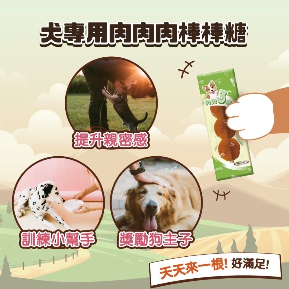 A Star 肉肉肉 棒棒糖 ARMONTO A-BONE 狗狗零食 獎勵零食 狗狗小點心 三片肉棒棒糖 台灣製-細節圖3