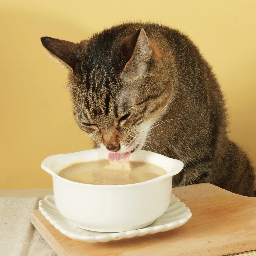 汪喵星球 益菌PRO+ 綿密肉泥主食罐 80G 貓主食罐 主食罐 無膠 貓罐 貓主食 雞 鴨胸 虱目魚-細節圖8