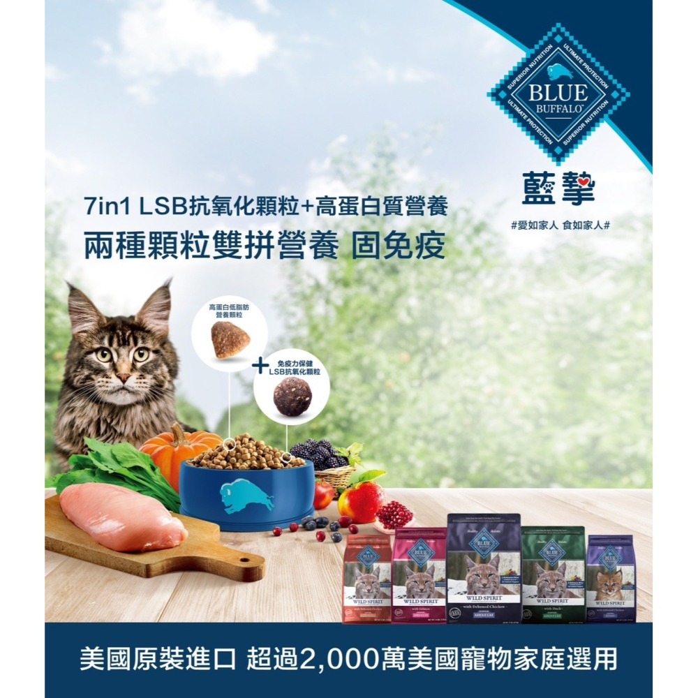 Blue Buffalo 藍摯 無穀飼料 貓犬飼料 幼貓犬 成貓犬 乾糧 去骨雞肉 鮭魚 鴨肉-細節圖2