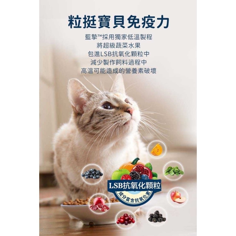 Blue Buffalo 藍摯 無穀飼料 貓犬飼料 幼貓犬 成貓犬 乾糧 去骨雞肉 鮭魚 鴨肉-細節圖4