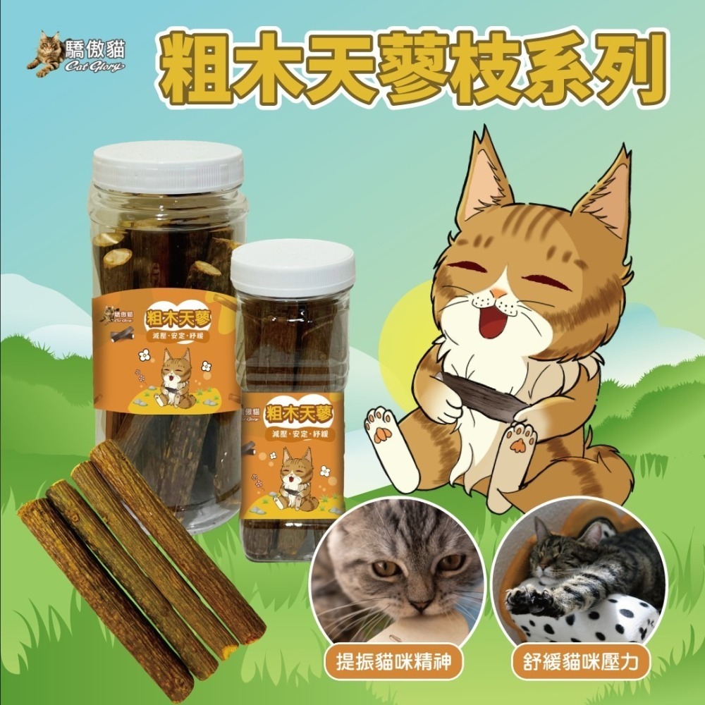 Cat Glory 驕傲貓 貓用 磨牙 輔助訓練 貓薄荷 木天蓼 蟲癭果 紓壓 安定情緒-細節圖3