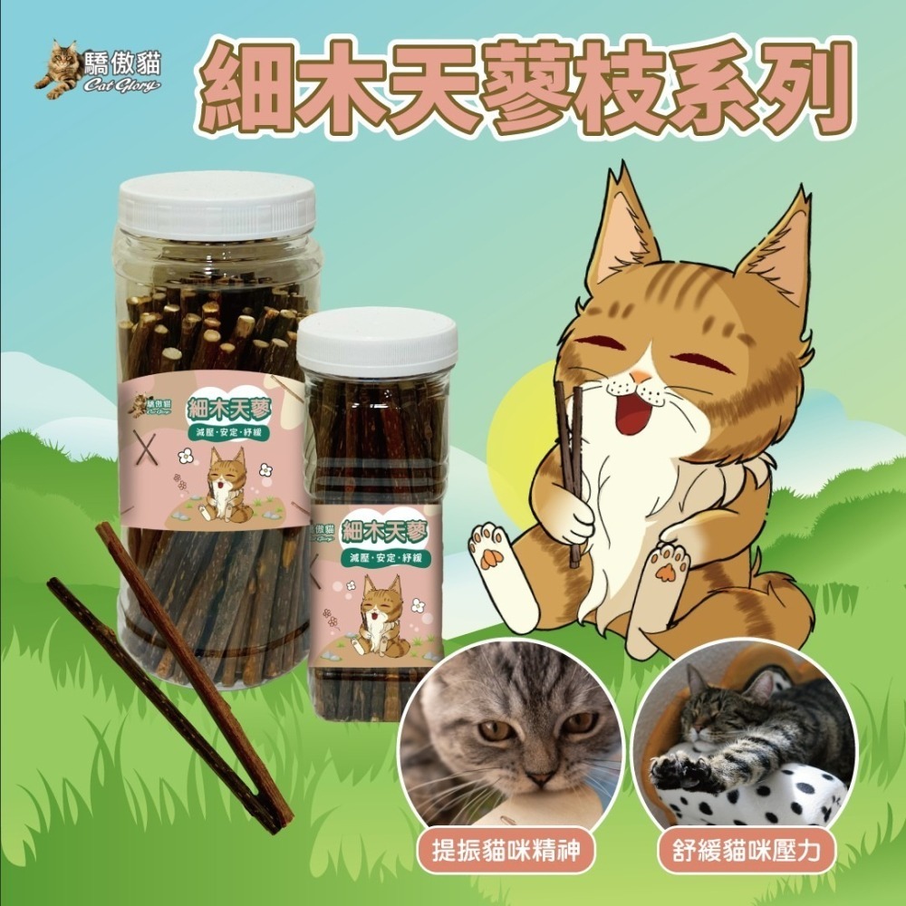 Cat Glory 驕傲貓 貓用 磨牙 輔助訓練 貓薄荷 木天蓼 蟲癭果 紓壓 安定情緒-細節圖4