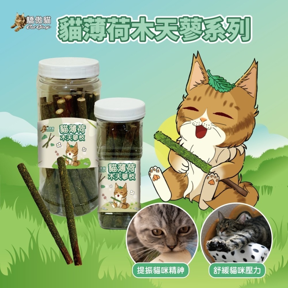Cat Glory 驕傲貓 貓用 磨牙 輔助訓練 貓薄荷 木天蓼 蟲癭果 紓壓 安定情緒-細節圖5