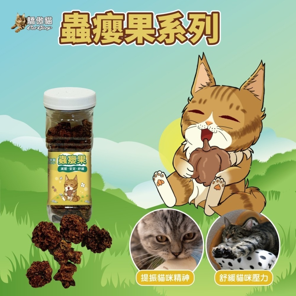 Cat Glory 驕傲貓 貓用 磨牙 輔助訓練 貓薄荷 木天蓼 蟲癭果 紓壓 安定情緒-細節圖7