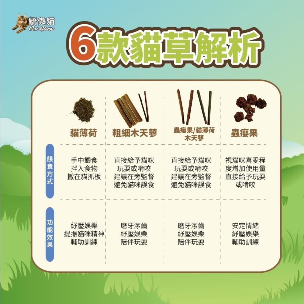 Cat Glory 驕傲貓 貓用 磨牙 輔助訓練 貓薄荷 木天蓼 蟲癭果 紓壓 安定情緒-細節圖8