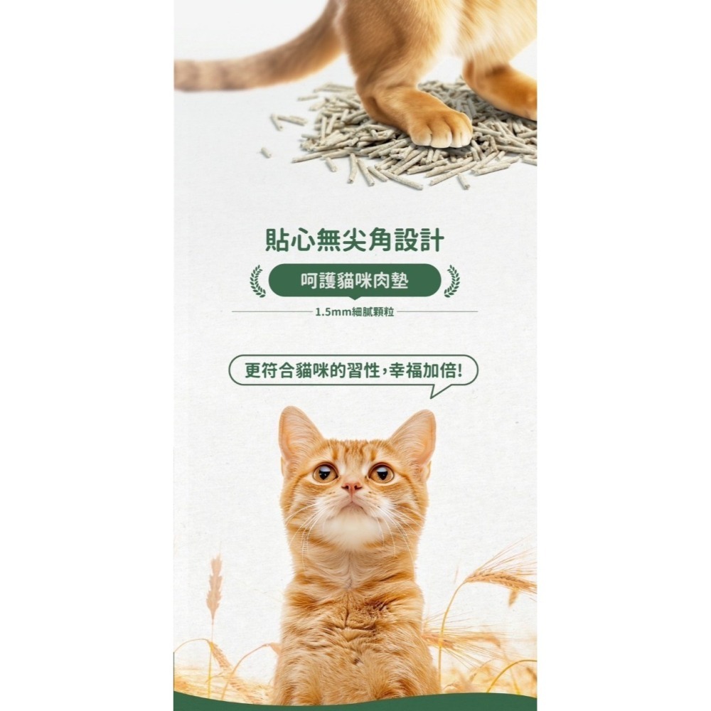 瑪西森林 稻殼貓砂 2.5kg MRC 100%除臭 稻殼砂 貓砂 稻殼+木薯砂-細節圖4