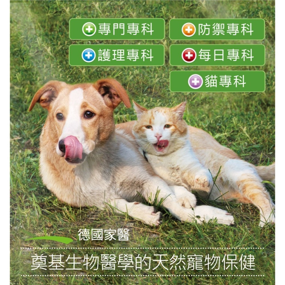 德國家醫 ANIBIO 牙結石花草粉 60G 超級益生菌120顆 犬貓適用 天然寵物保健-細節圖7