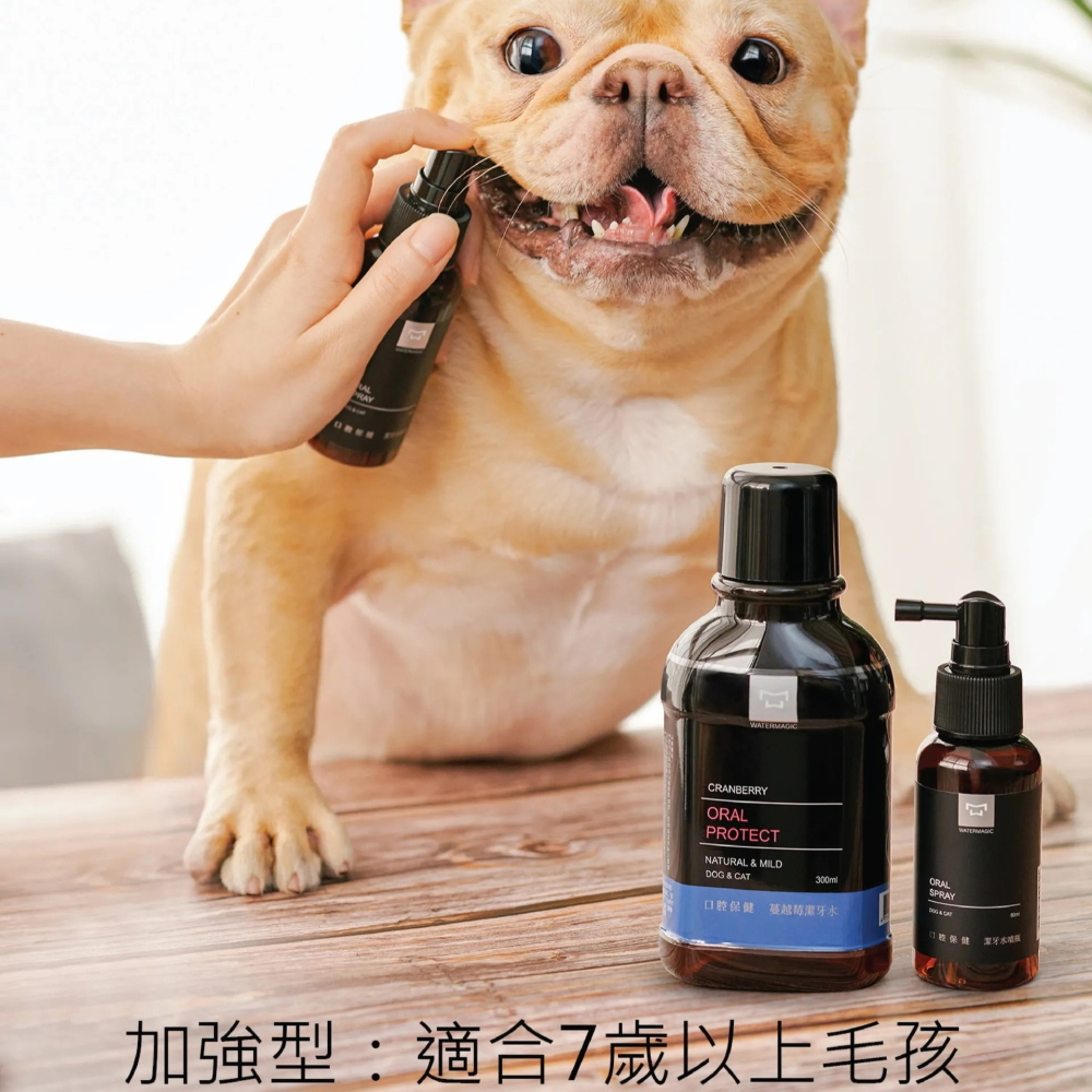水魔素 口腔護理 潔牙水 小麥草 蔓越莓 貓用 狗用 毛孩 寵物潔牙 潔淨 清潔口腔-細節圖3