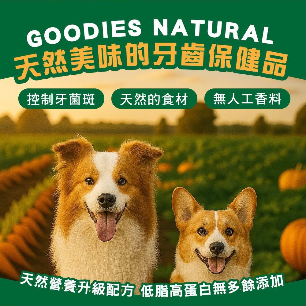 GOODIES 固迪斯 樂活能量棒 雙效 潔牙 腸道 皮毛保健 鮭魚 雞肉 250G 狗狗 能量 小點心 狗狗能量棒-細節圖3