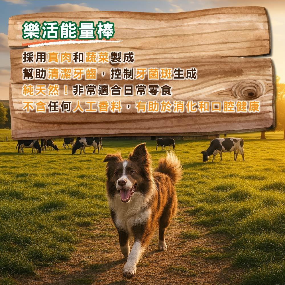 GOODIES 固迪斯 樂活能量棒 雙效 潔牙 腸道 皮毛保健 鮭魚 雞肉 250G 狗狗 能量 小點心 狗狗能量棒-細節圖7