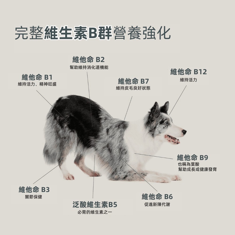 本牧 boneve 凍乾 生食餐 貓用 犬用 紐西蘭產 鱈魚 鹿肉 鰺魚 雞 鮭魚 鯖魚 羊肉 牛肉-細節圖3