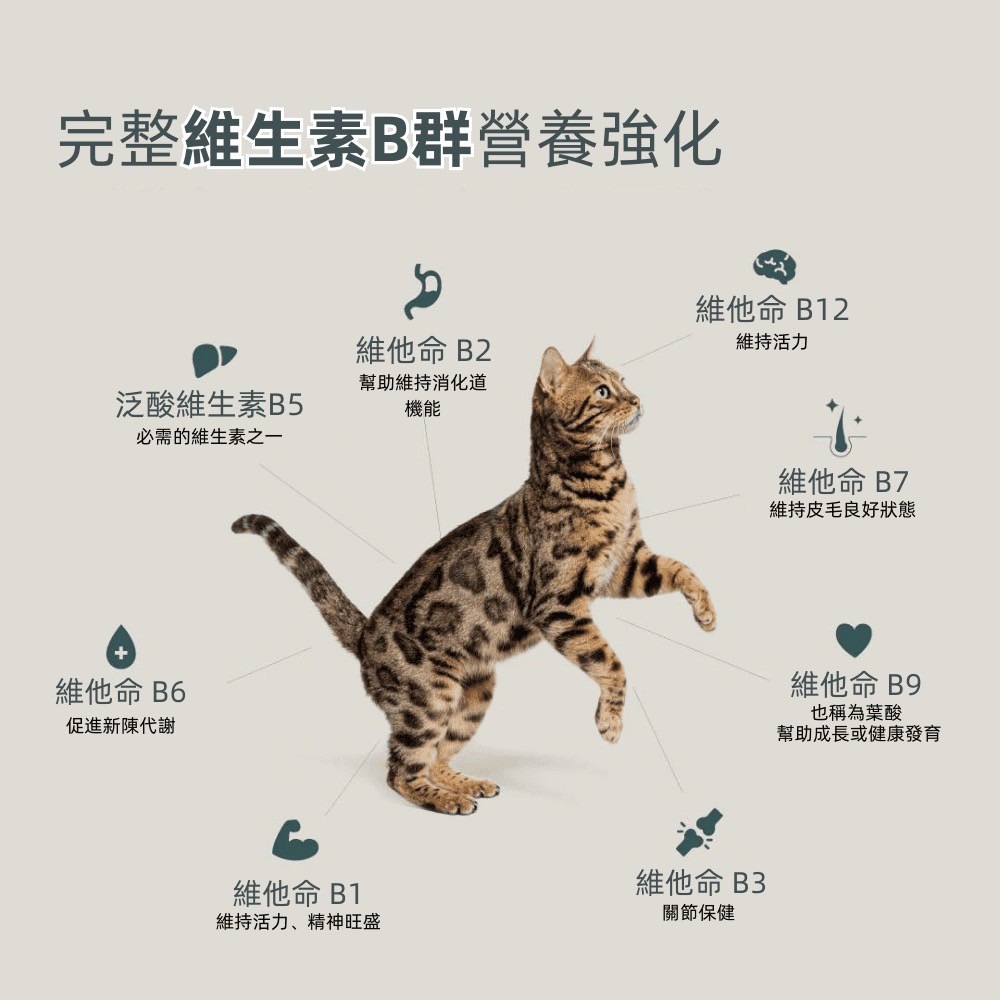 本牧 boneve 凍乾 生食餐 貓用 犬用 紐西蘭產 鱈魚 鹿肉 鰺魚 雞 鮭魚 鯖魚 羊肉 牛肉-細節圖4