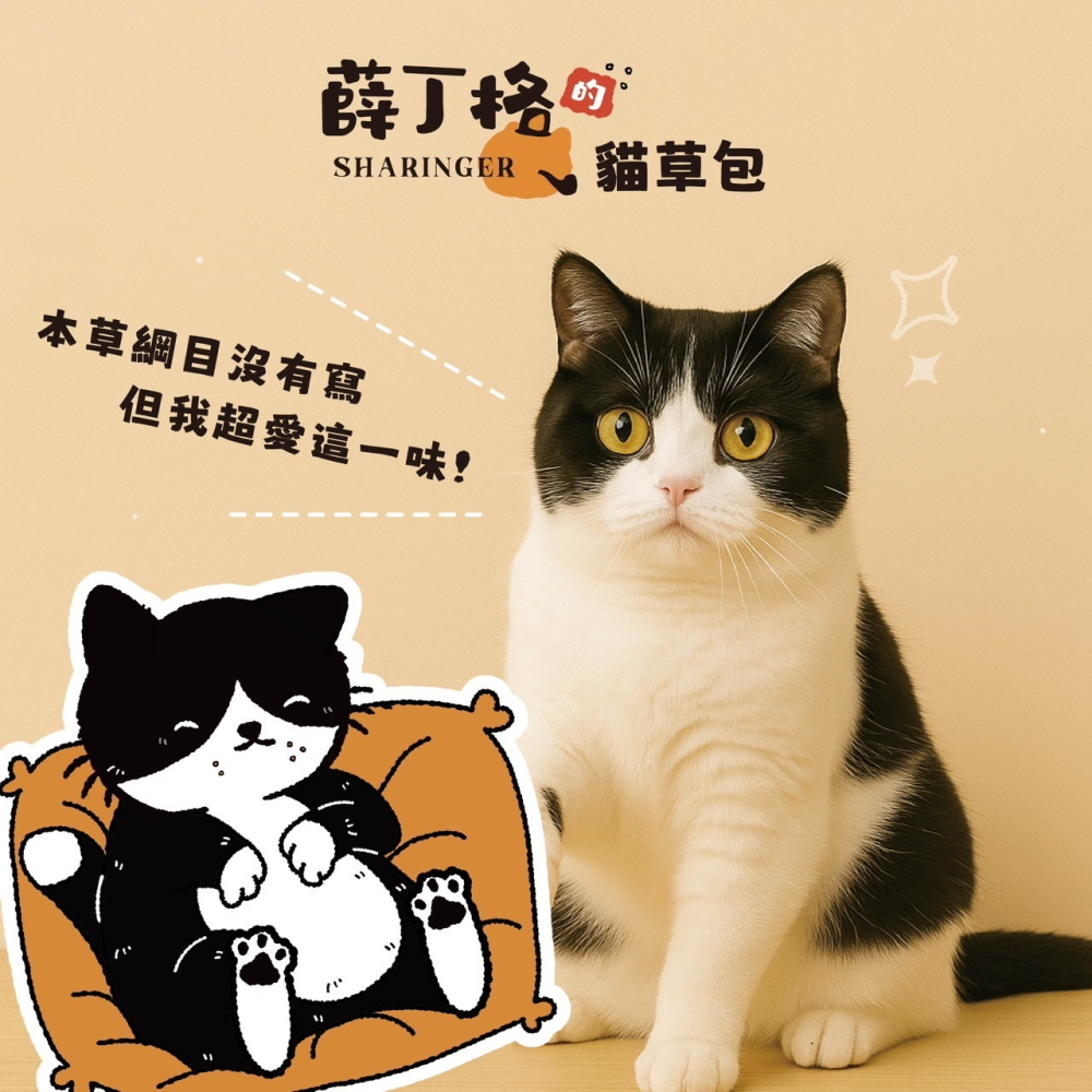 薛丁格的貓草包 ｜ 貓薄荷抱枕 ｜ 台灣製 ｜ 咬咬踢踢 磨牙 紓壓 可愛-細節圖2
