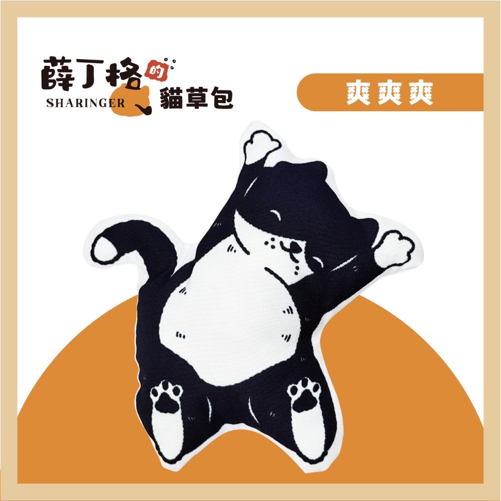 薛丁格的貓草包 ｜ 貓薄荷抱枕 ｜ 台灣製 ｜ 咬咬踢踢 磨牙 紓壓 可愛-規格圖6