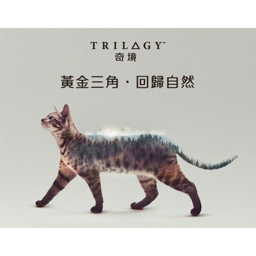 奇境 無穀 貓飼料 澳洲 無穀糧 凍乾糧 幼貓 全齡貓 牛肉 袋鼠 鱷魚 鮭魚 羊肺 5%腺體內臟凍乾-細節圖2
