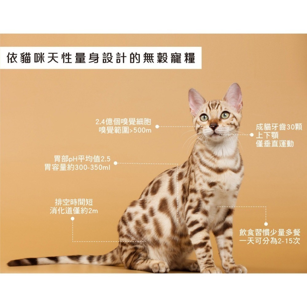 奇境 無穀 貓飼料 澳洲 無穀糧 凍乾糧 幼貓 全齡貓 牛肉 袋鼠 鱷魚 鮭魚 羊肺 5%腺體內臟凍乾-細節圖4