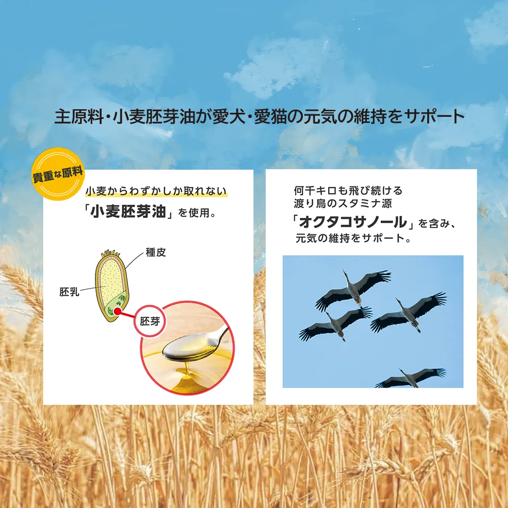 Staminol DHA強效化毛膏 50G 日本 貓專用 毛球護理 貓保健品 化毛膏 排毛膏-細節圖2