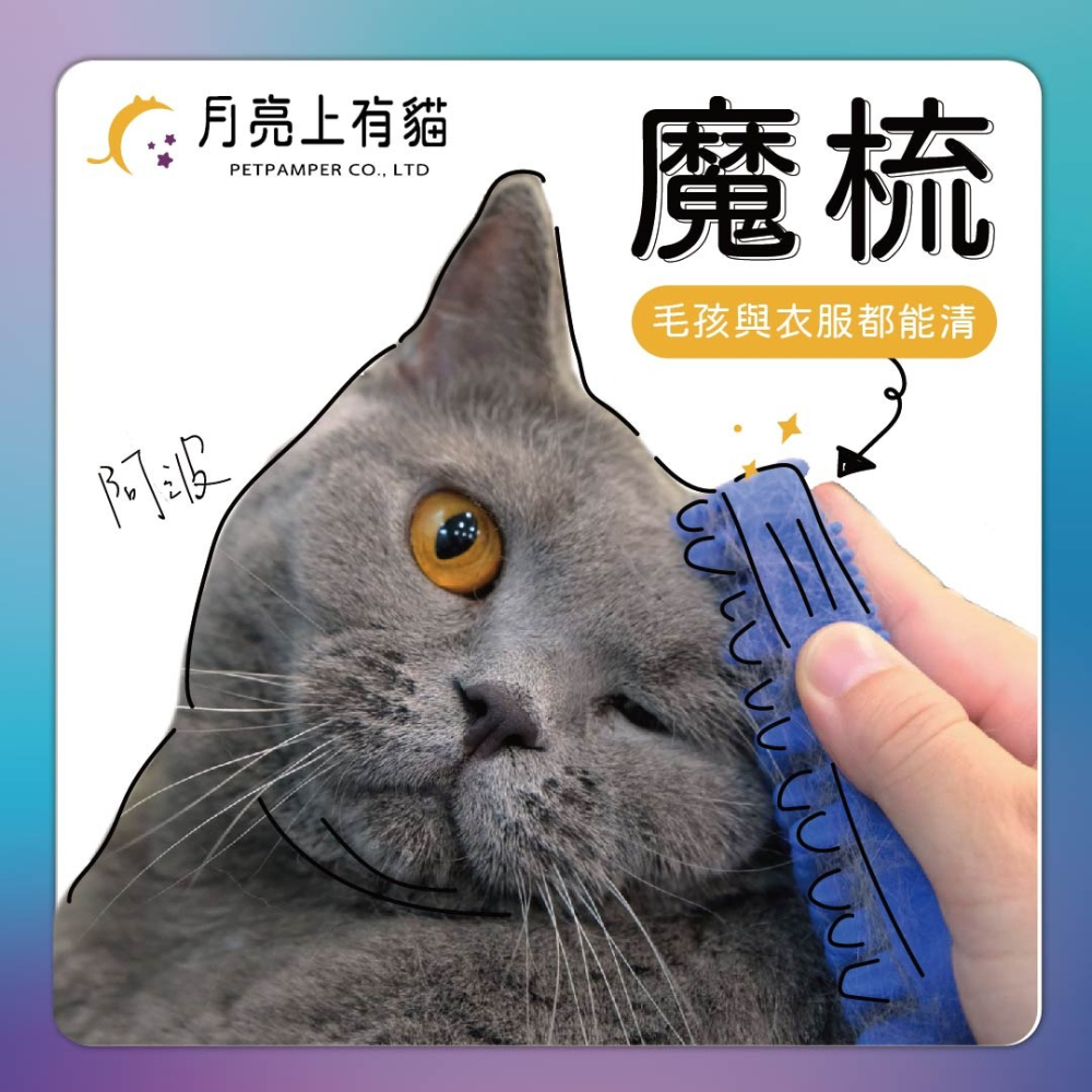 PET+ME 魔梳 多功能按摩梳 按摩梳 寵物梳毛 毛髮護理 多功能 醫療級矽膠-細節圖2