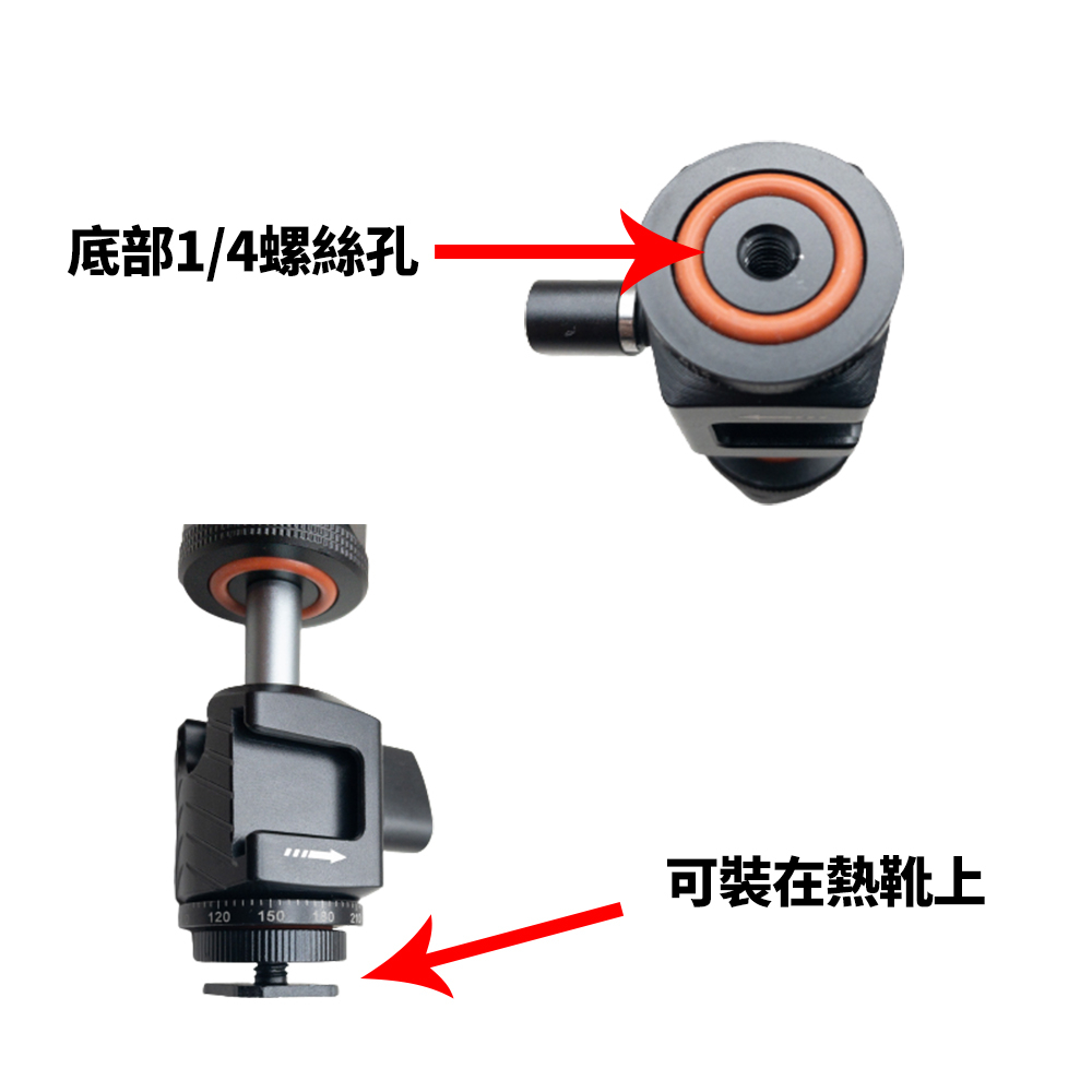 CimaPro 熙碼 A-067S 三頭熱靴小雲台 三向冷靴 1/4螺牙 底部1/4螺絲孔 迷你雲台 益祥公司貨-細節圖4