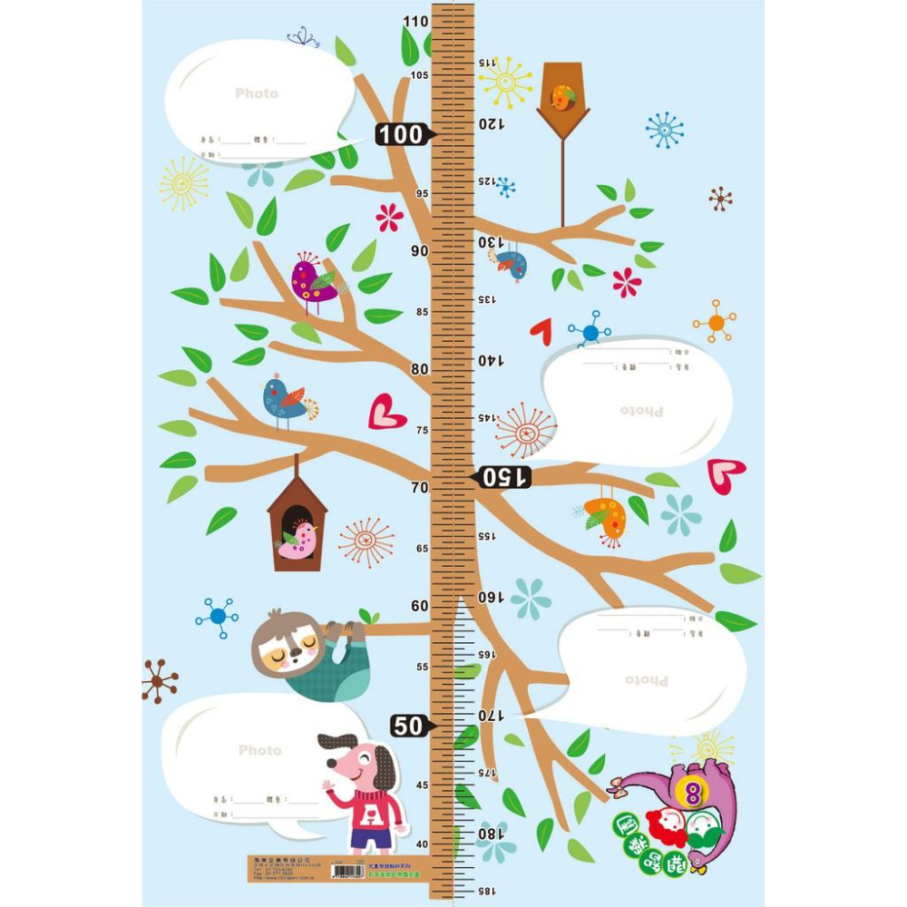 我愛中華 兒童學習海報掛圖 說寫ABC / 數字123 / 大家來學ㄅㄆㄇ  注音學習 / 九九乘法表 / 兒童身高表-細節圖5