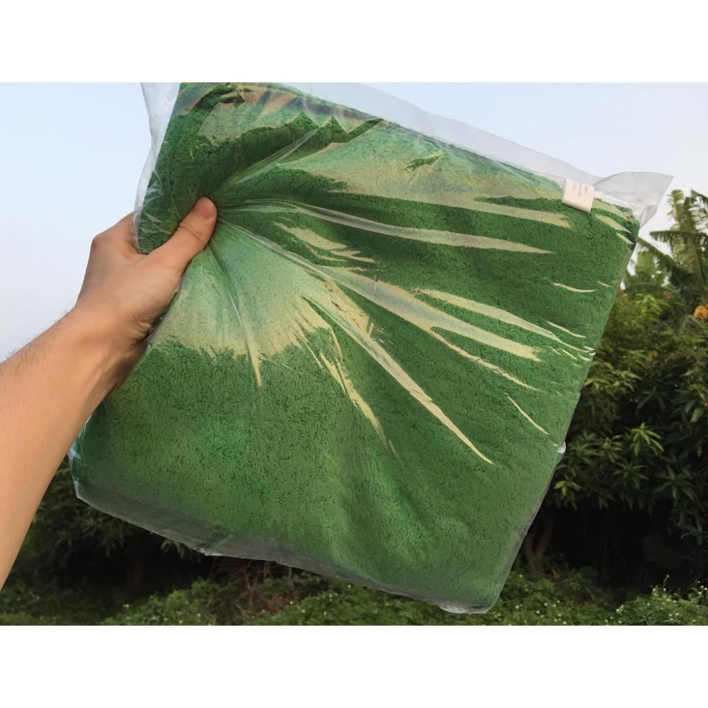 台灣製造 一般家庭用抹布 清潔抹布 擦拭布 吸水抹布 廚房抹布 不掉毛絮 (12入包裝)【偉旗文具】-細節圖2