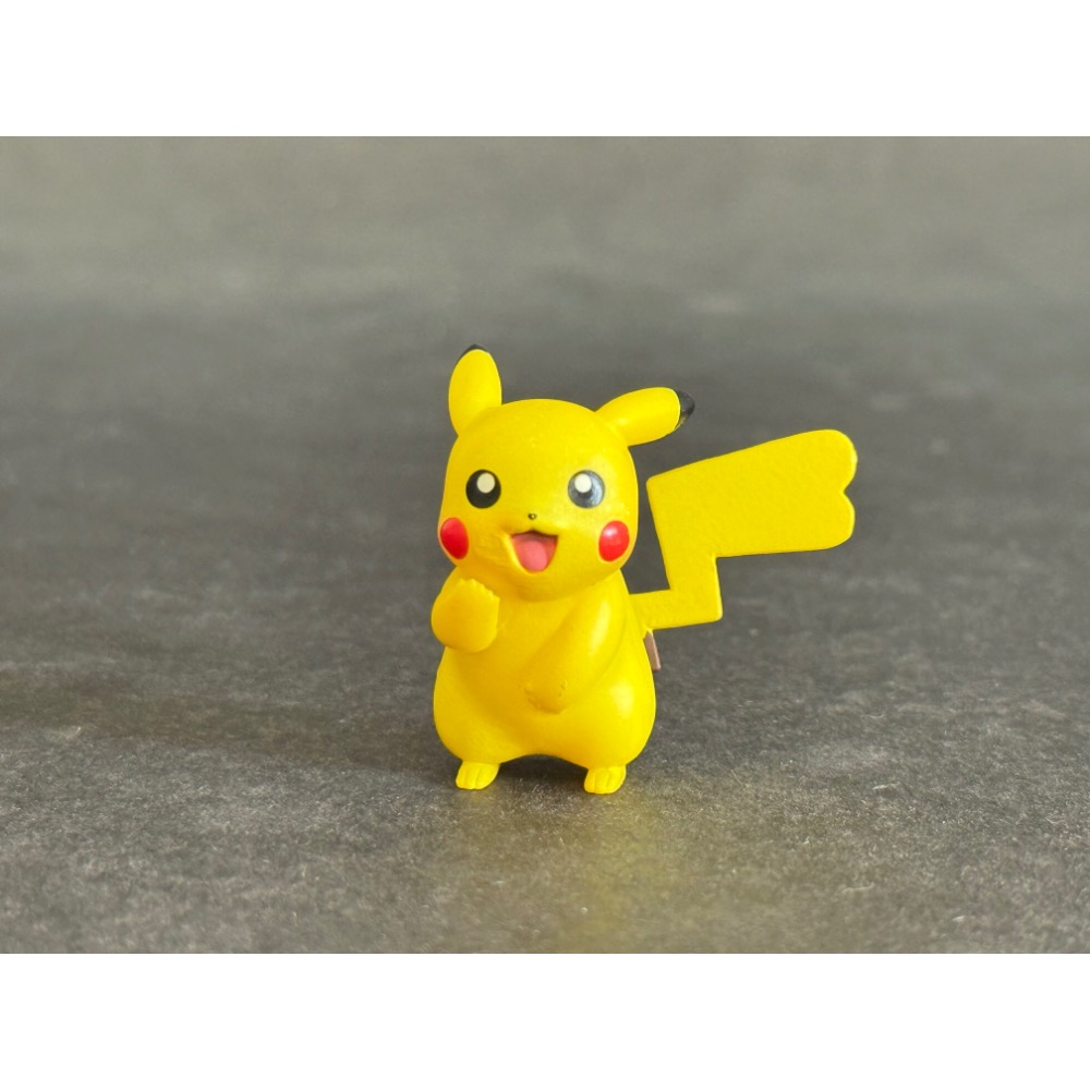 GEM 寶可夢 日版 大量發生中 特典 母皮卡丘 公仔 愛心尾巴 小智 非 景品 雷丘 皮丘 噴火龍 水箭龜 洛奇亞-細節圖2