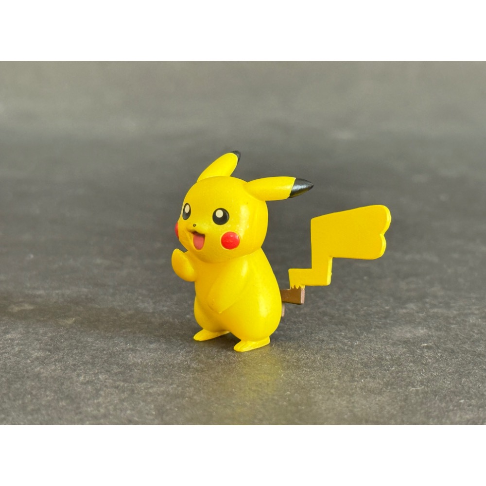 GEM 寶可夢 日版 大量發生中 特典 母皮卡丘 公仔 愛心尾巴 小智 非 景品 雷丘 皮丘 噴火龍 水箭龜 洛奇亞-細節圖5