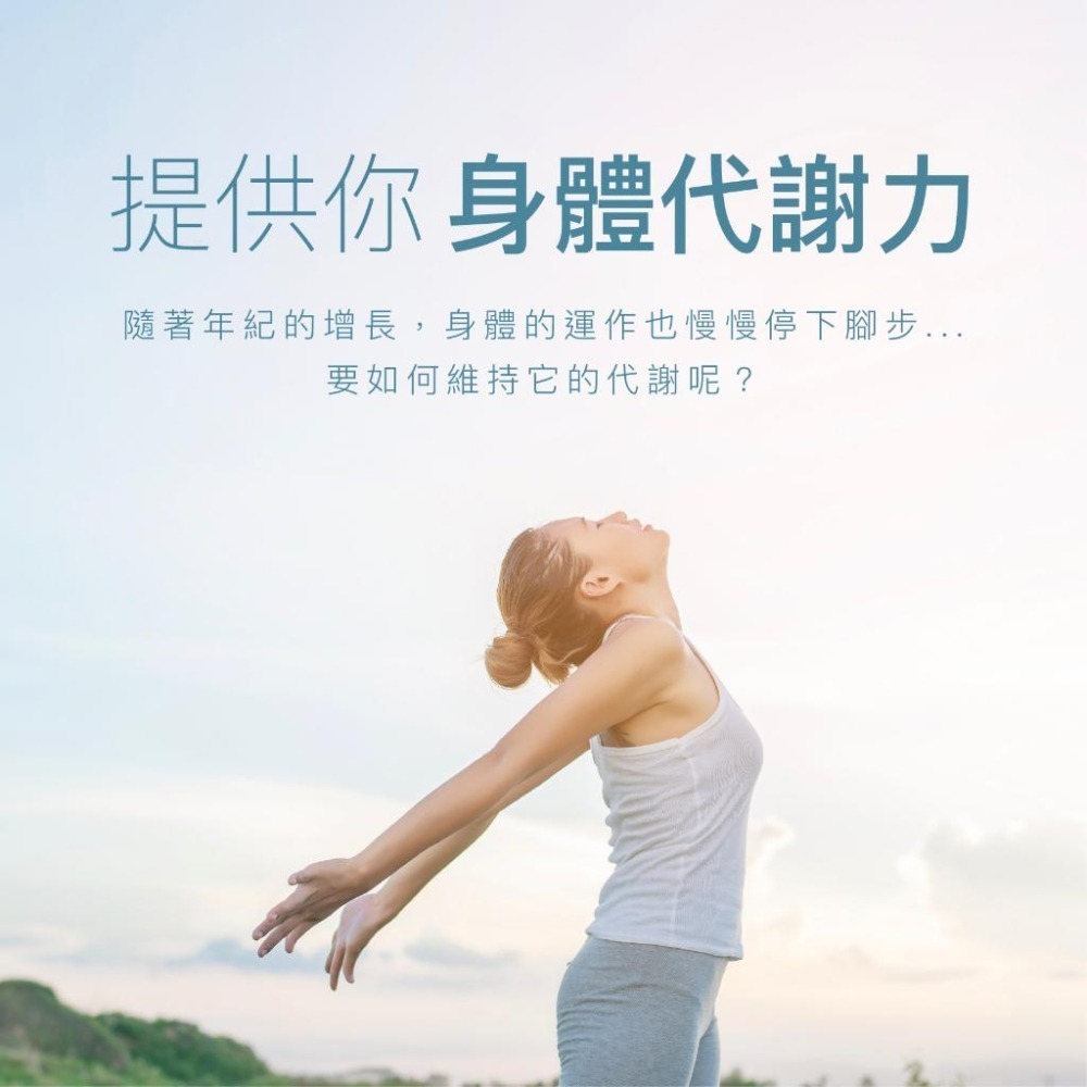 美國原裝進口 VitalBulk 維他命B3 (菸鹼酸) 100mg 膠囊 Niacin 立即反應 純度超高 低賦形劑-細節圖2