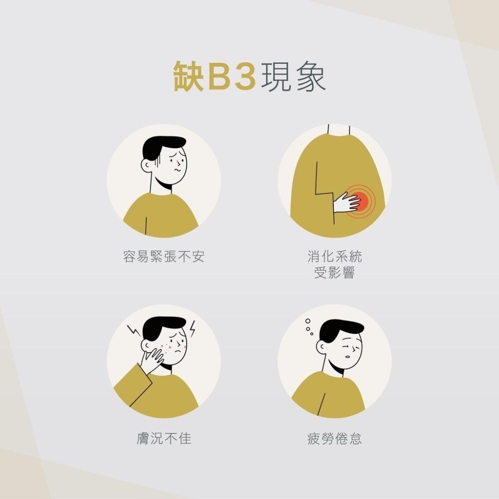 美國原裝進口 VitalBulk 維他命B3 (菸鹼酸) 100mg 膠囊 Niacin 立即反應 純度超高 低賦形劑-細節圖4