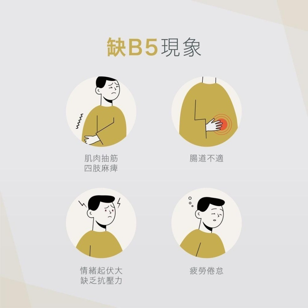 美國原裝進口 VitalBulk 維他命B5 （泛酸）500mg 100顆 Pantothenic Acid 泛酸鈣-細節圖3