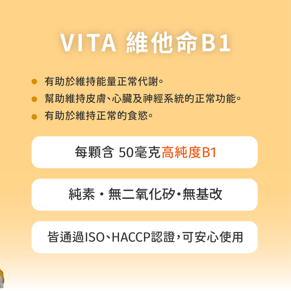 優維特 VITA 維他命B1 50mg 錠狀 維持能量正常代謝-細節圖3
