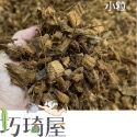 椰塊1公升 椰子殼 鹿角蕨 觀葉植物介質 栽培 椰殼 蘭花介質 雨林介質 培養土 觀葉植物 角蛙昆蟲墊材-規格圖1