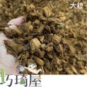 椰塊1公升 椰子殼 鹿角蕨 觀葉植物介質 栽培 椰殼 蘭花介質 雨林介質 培養土 觀葉植物 角蛙昆蟲墊材-規格圖1