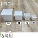 黑白方盆(2號/3號/4號/5號)多肉栽培盆 花盆 栽培盆 四方盆 塑膠花盆 觀葉植物花盆 透氣盆 多肉盆 方盆-規格圖2