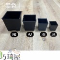 黑白方盆(2號/3號/4號/5號)多肉栽培盆 花盆 栽培盆 四方盆 塑膠花盆 觀葉植物花盆 透氣盆 多肉盆 方盆-規格圖2