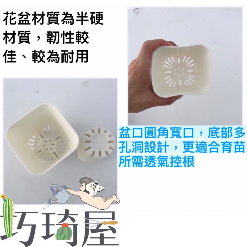 圓角透氣盆（3吋/4吋/5吋）小方盆 育苗盆 控根盆 塑膠花盆 多肉植物花盆 觀葉植物盆 培育盆 黑白育苗杯-細節圖2