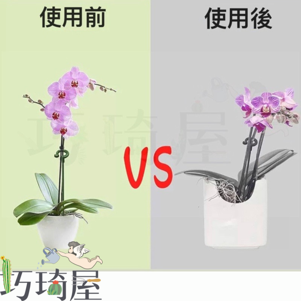 植物支撐架 蘭花夾 盆栽固定架 植物支撐桿 花卉固定 植物支撐桿 園藝支撐桿 植物架 爬架 支撐架-細節圖3