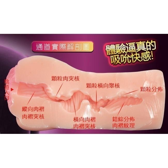 人妻尤物自慰器 自慰套 打手槍 打飛機❤體驗逼真3D仿真細膩膚質吸吮快感【附贈25ml潤滑液】重330克★003210-細節圖4