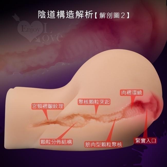 美尻爆爽人妻❤3D飽滿肉穴慾望俏臀 高潮自慰器【附贈120ml潤滑液】打手槍╱人妻打炮╱自慰套╱自愛器★003759-細節圖7