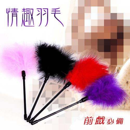搔癢騷養調情羽毛棒 情趣羽毛酥癢挑逗棒 床第遊戲前戲調情必備 麻癢刺激 情趣用品 SM用品 整人玩具 001759-細節圖2