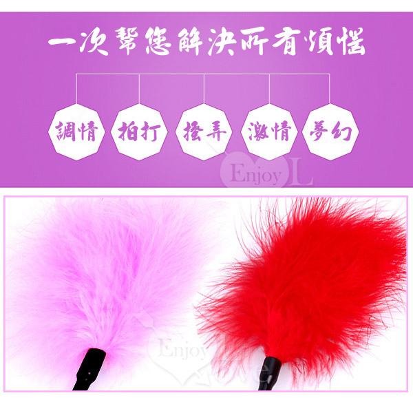 搔癢騷養調情羽毛棒 情趣羽毛酥癢挑逗棒 床第遊戲前戲調情必備 麻癢刺激 情趣用品 SM用品 整人玩具 001759-細節圖4