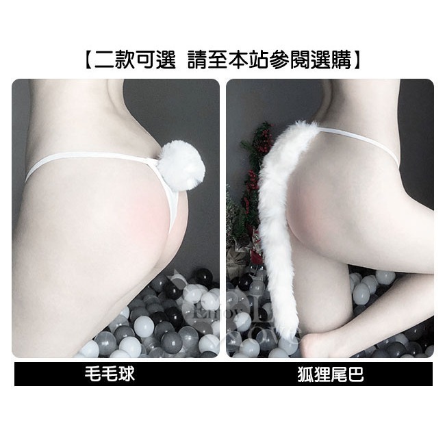 單線細帶丁字褲 兩款可選【毛毛球、狐狸尾巴】小丁 Ｔ字褲 情趣內褲 女生性感內褲 性感內褲 情趣三角褲-細節圖8