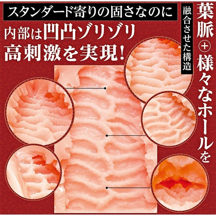 日本TamaToys 動漫飛機杯 AI構想自慰器【NO.05】葉脈肉褶刺激 高彈力柔軟舒適通道名器 自慰套＃002739-細節圖6